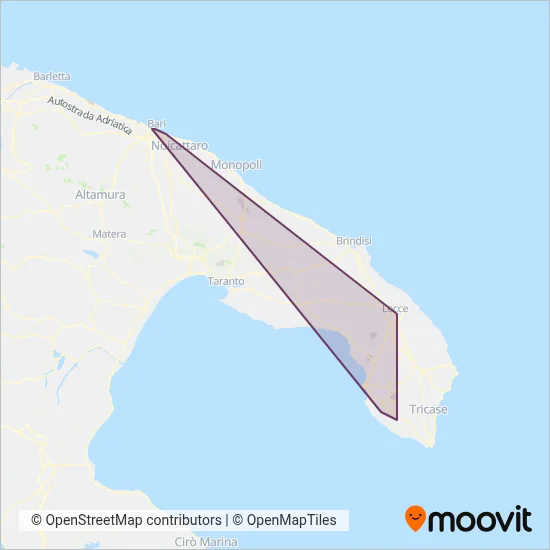 Area coperta dal servizio di Borman S.r.l.