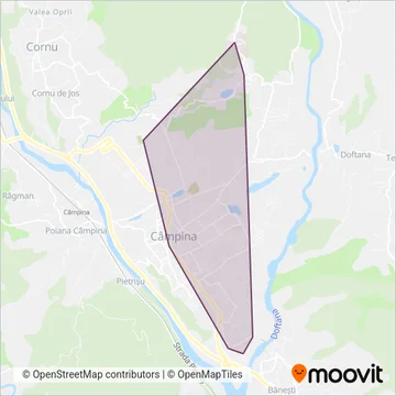 AVE Diana Câmpina coverage area map