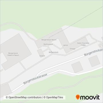Bürgenstock Bahn Ersatzverkehr coverage area map