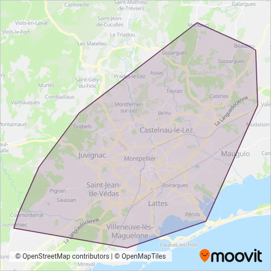 TAM (Bus) coverage area map