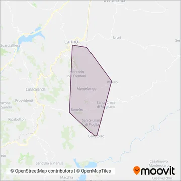 Calzolaro Viaggi coverage area map
