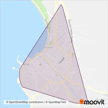 Taxibuses Línea 7 Y 8 coverage area map