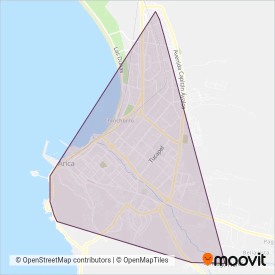Taxibuses Línea 7 Y 8 coverage area map