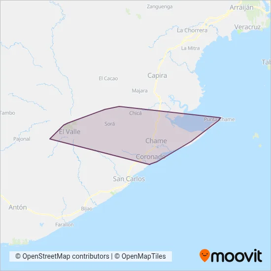 Buses Diablos Rojos Chamé coverage area map
