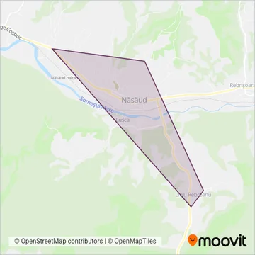 Local Serv Năsăud coverage area map