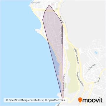 Transportes Vargas Limitada coverage area map