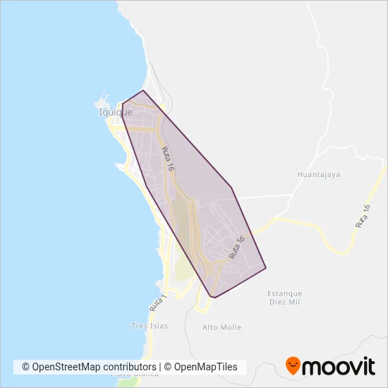 S. de T. de Pasajeros y S. Alto Hospicio S.A. coverage area map