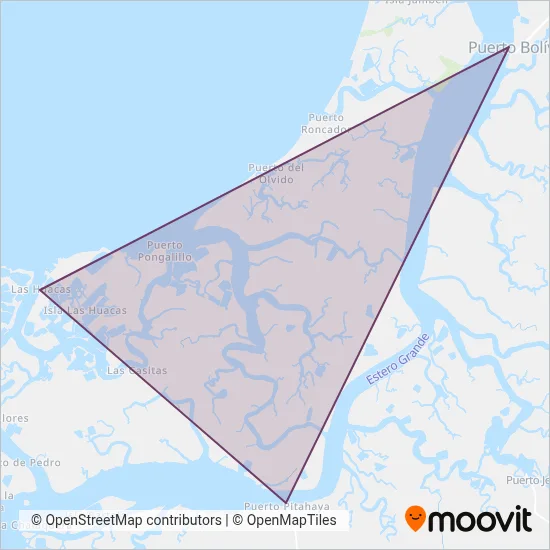 TRANSPORTE FLUVIAL Y MARÍTIMO 31 DE JULIO coverage area map