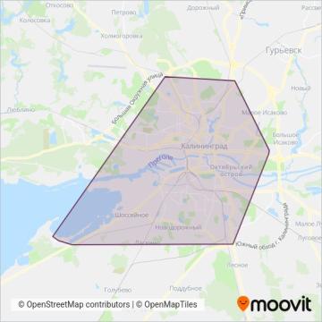 Схема покрытия компании Фомин Максим Викторович