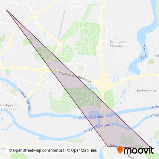 Схема покрытия компании ООО "Маршрутное такси"