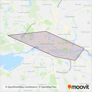 Схема покрытия компании Балттрансавто один