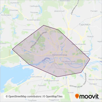Схема покрытия компании ГорТранс