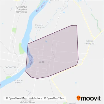 Intendencia de Salto coverage area map