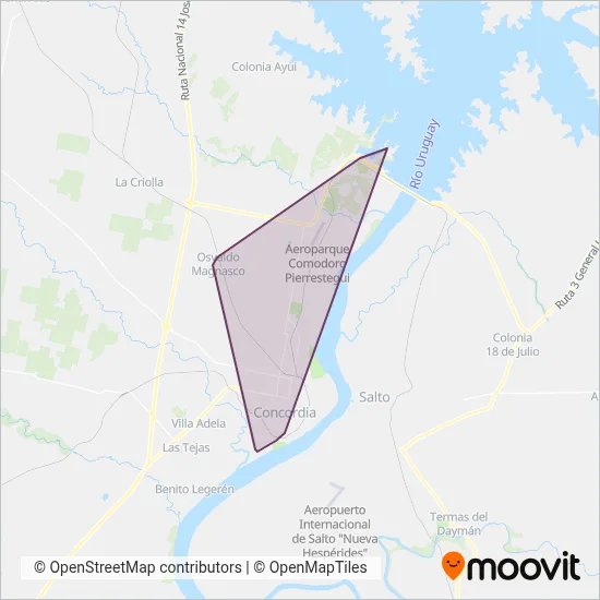 Cooperativa de Trabajo Nuevo Expreso Ltda. coverage area map