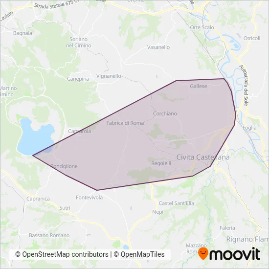 Area coperta dal servizio di Vitertur