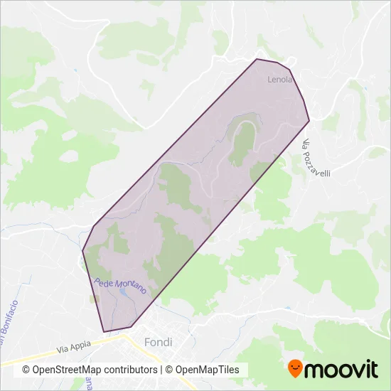 Area coperta dal servizio di Ronci Viaggi