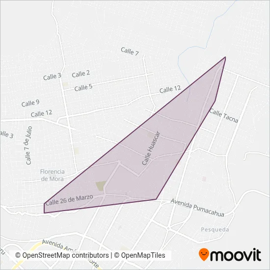 Empresa de Transporte Virgen del Arco S.A. coverage area map