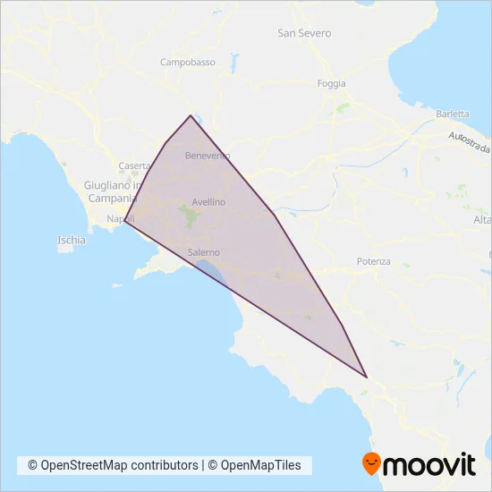 Area coperta dal servizio di Trenitalia (Bus)