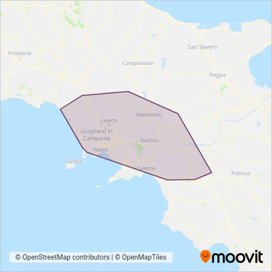 Area coperta dal servizio di Autoservizi Irpini