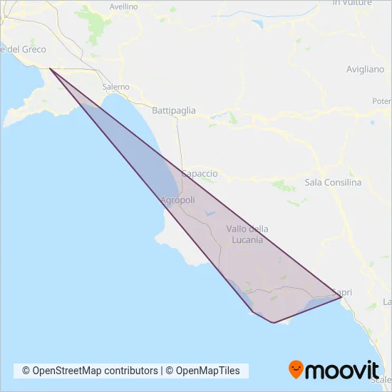 Area coperta dal servizio di Infante Travel