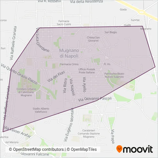 Area coperta dal servizio di Ini Bus