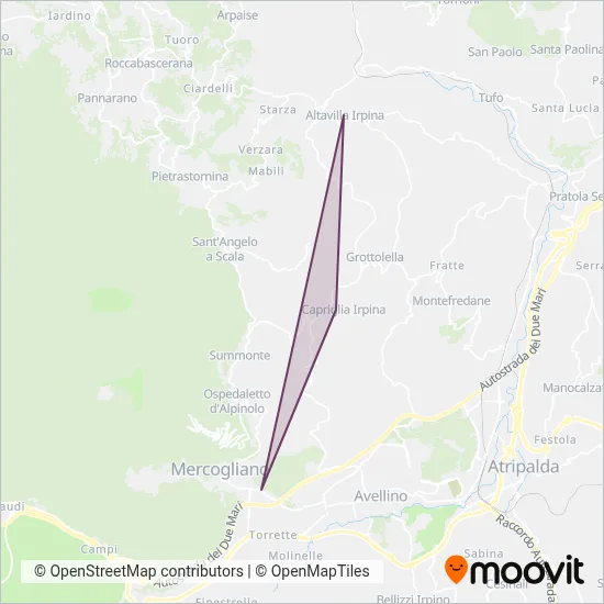 Area coperta dal servizio di Bartolini Turismo
