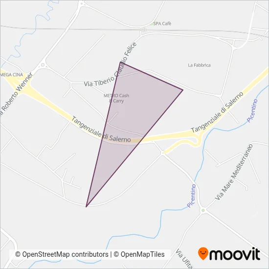 Area coperta dal servizio di Autolinee Palmentieri