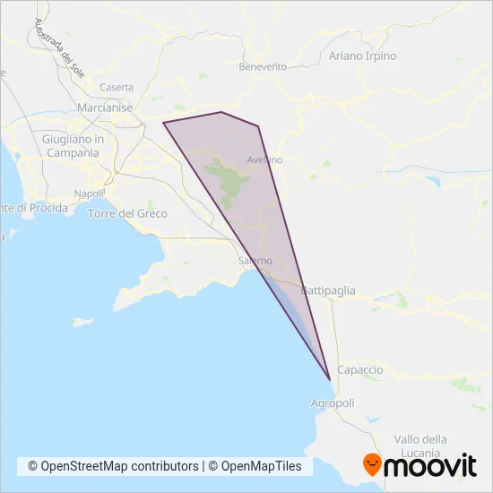 Area coperta dal servizio di Autolinee Sellitto