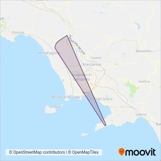 Area coperta dal servizio di Angelino Bus