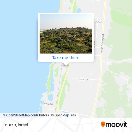 Карта הבונים