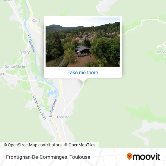 Frontignan-De-Comminges map