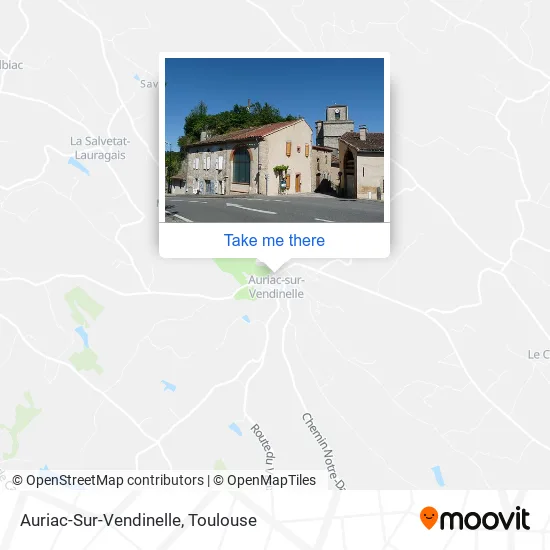 Auriac-Sur-Vendinelle map