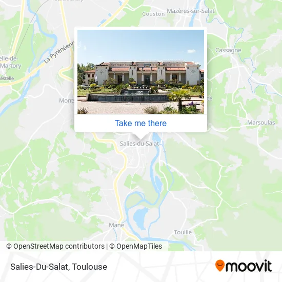 Salies-Du-Salat map
