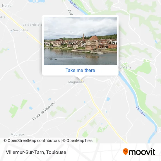 Villemur-Sur-Tarn map