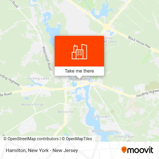 Hamilton map