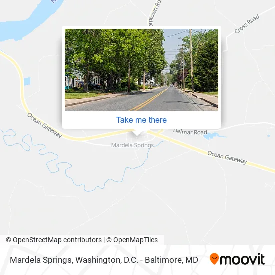 Mardela Springs map