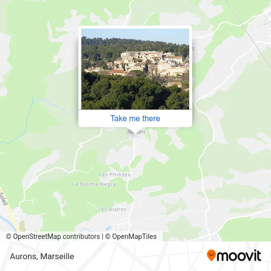 Aurons map