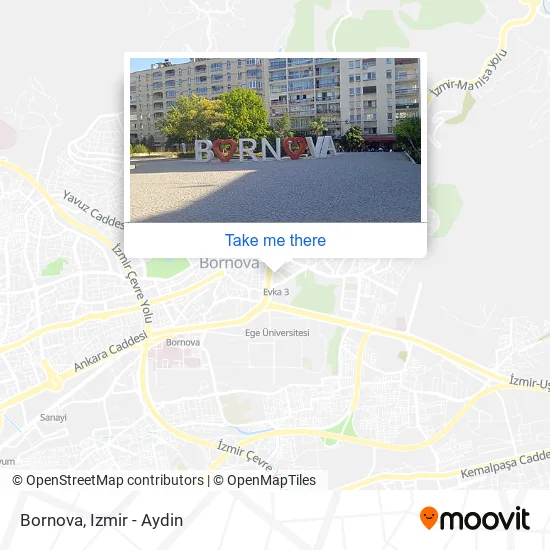 Bornova map