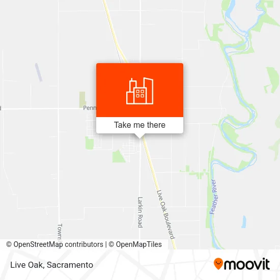 Live Oak map