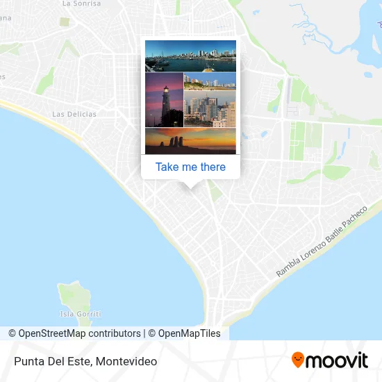 Punta Del Este map