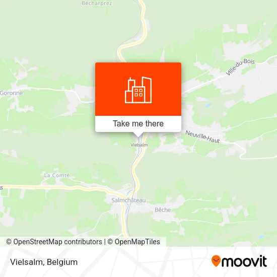 Vielsalm map