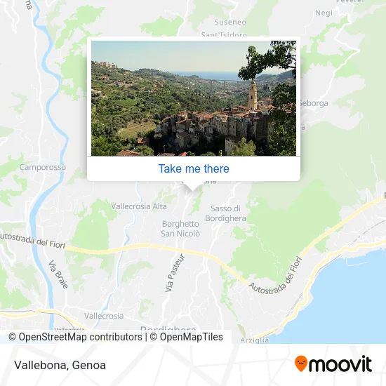 Vallebona map