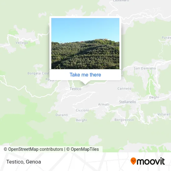 Testico map