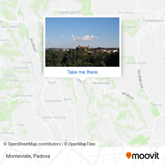 Monteviale map