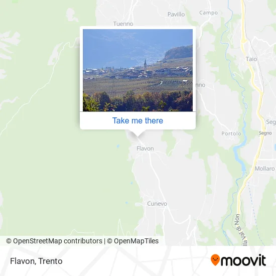 Flavon map