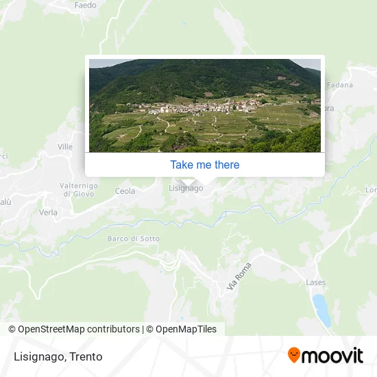 Lisignago map