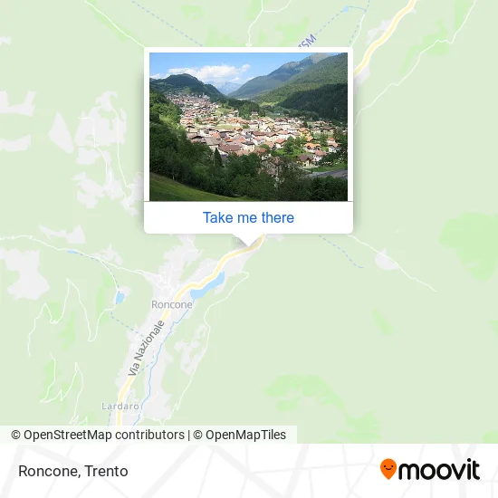 Roncone map