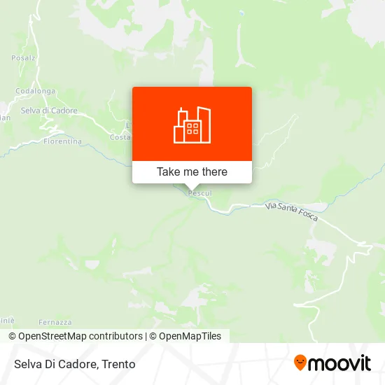 Selva Di Cadore map