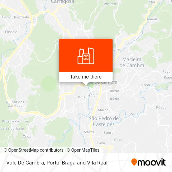 Vale De Cambra map