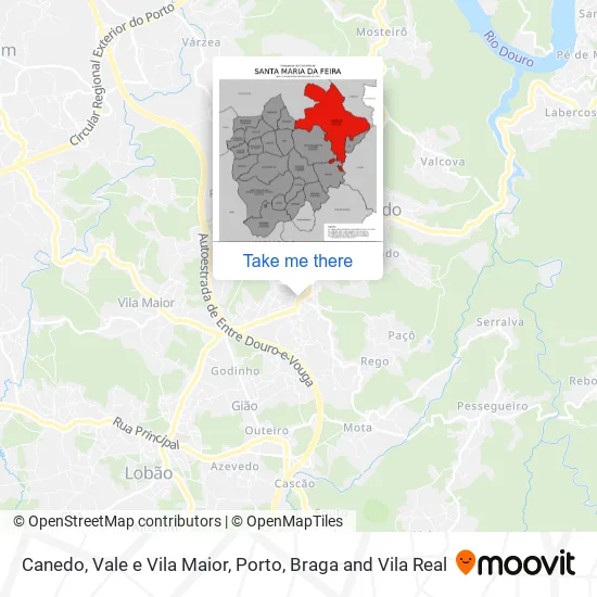 Canedo, Vale e Vila Maior map